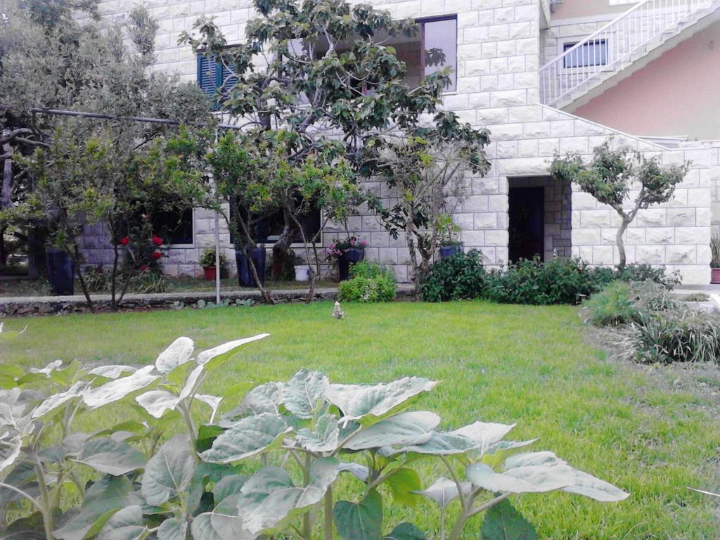Apartment Franka